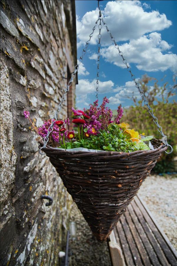 Polrunny Farm Seaberry Cottage With A Sea View And Log Burner Boscastle Zewnętrze zdjęcie
