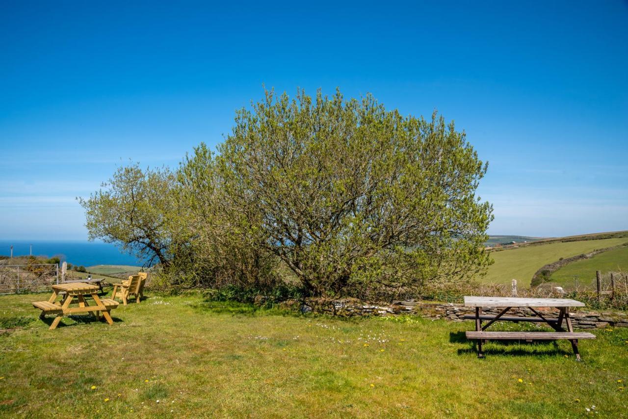 Polrunny Farm Seaberry Cottage With A Sea View And Log Burner Boscastle Zewnętrze zdjęcie