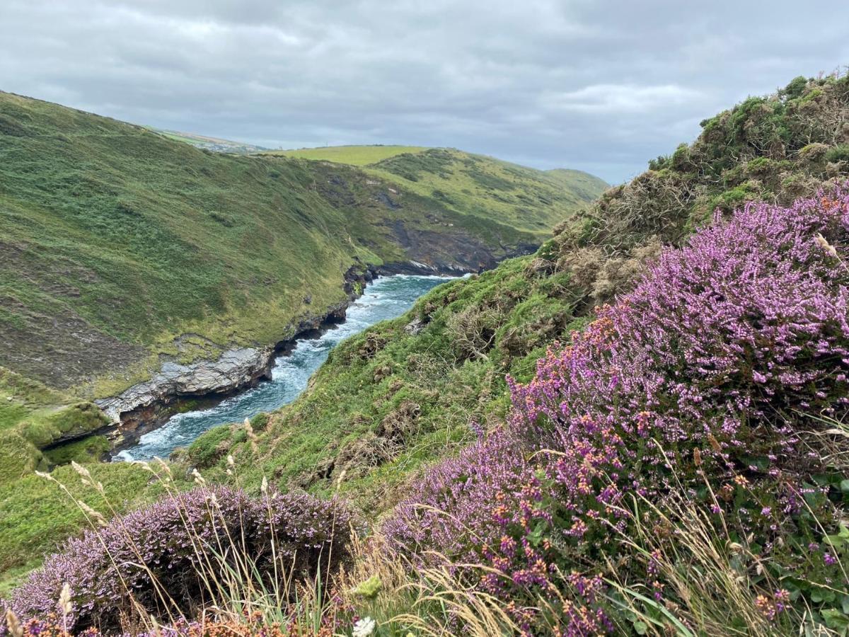 Polrunny Farm Seaberry Cottage With A Sea View And Log Burner Boscastle Zewnętrze zdjęcie