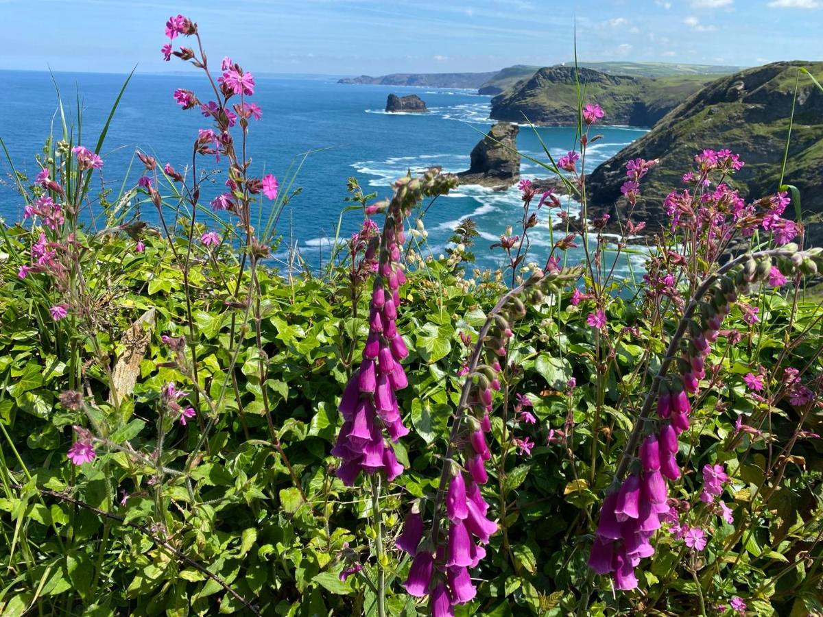 Polrunny Farm Seaberry Cottage With A Sea View And Log Burner Boscastle Zewnętrze zdjęcie
